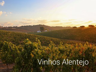 Utilize para  ver mais