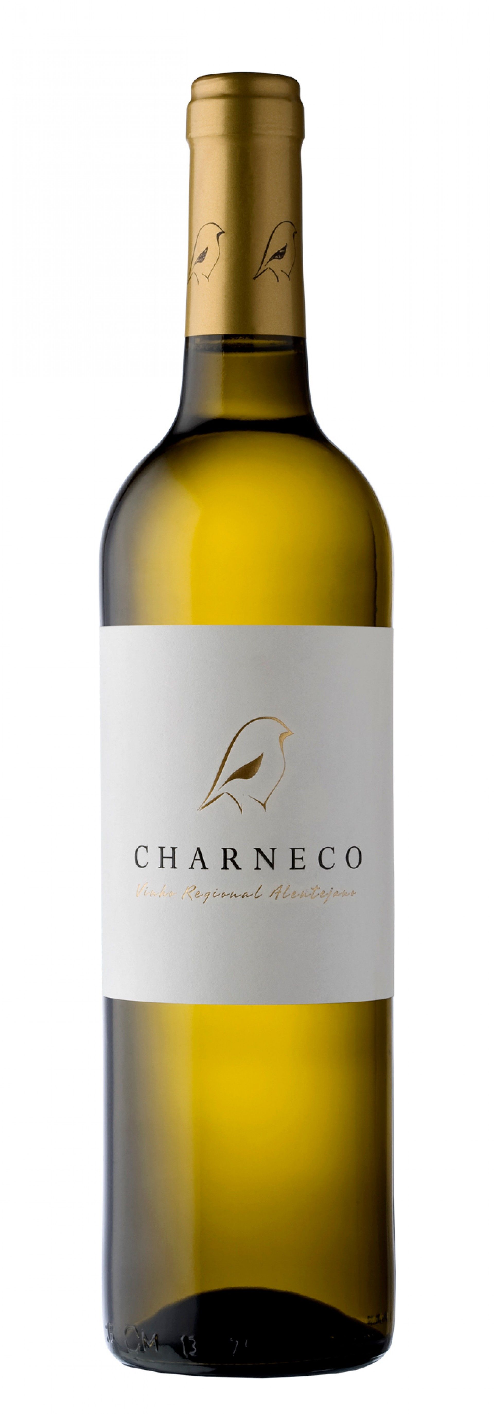 Charneco Branco 2024