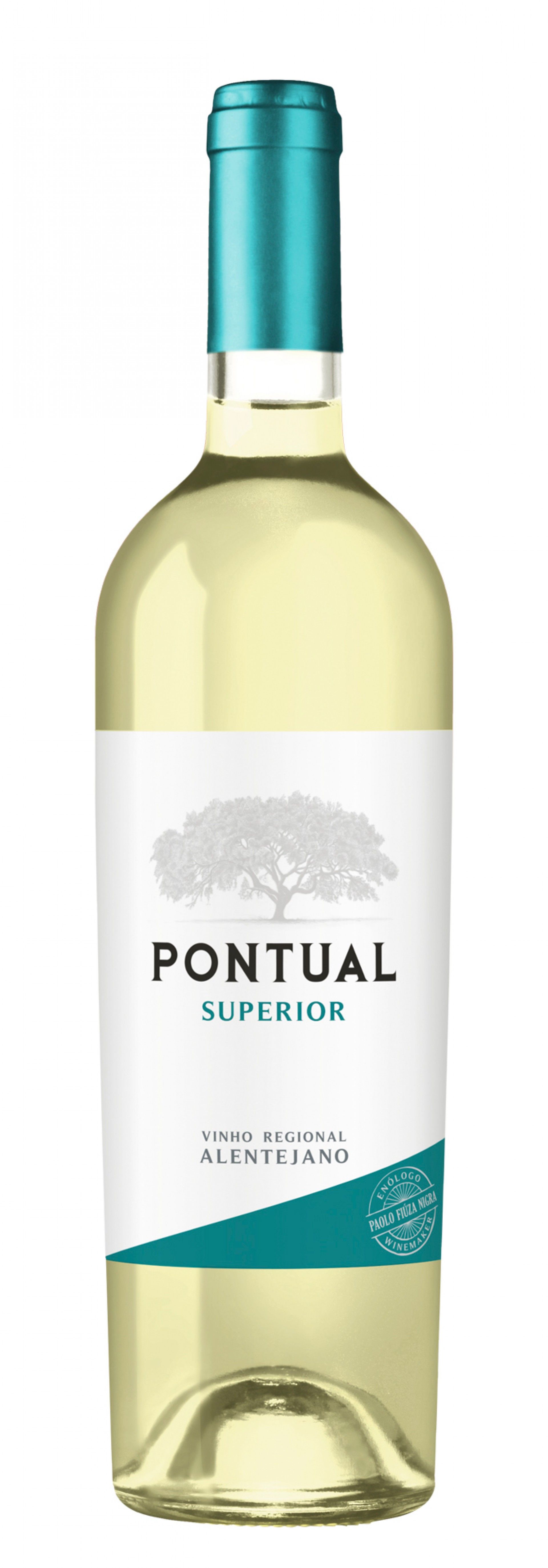 Pontual Superior Branco 2024